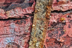 Pink hull, wood and iron