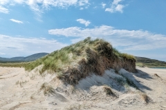 PXL_20230708_105122717-01