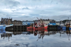 PXL_20230709_090635126-01