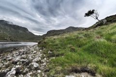 PXL_20230710_175643562-01